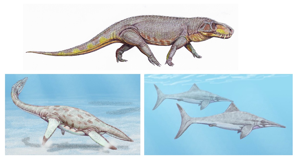 El reinado de los reptiles: ¿qué es un dinosaurio? | All you need is Biology