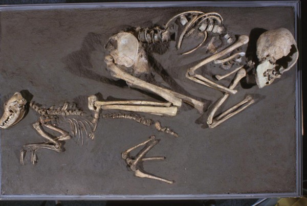 Entierro de una mujer y un perro del Neolítico, en Ripoli (Italia). Museo Nacional de Antigüedades de Chieti. (Créditos)