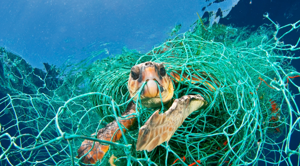 impacto basura marina naturaleza